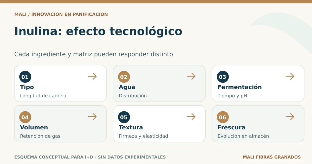 Efectos de la inulina sobre masa, textura y volumen